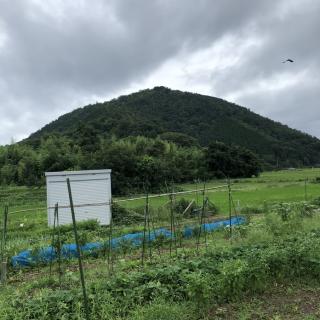 山本山城 滋賀県長浜市 の詳細情報 周辺観光 ニッポン城めぐり 位置情報アプリで楽しむ無料のお城スタンプラリー